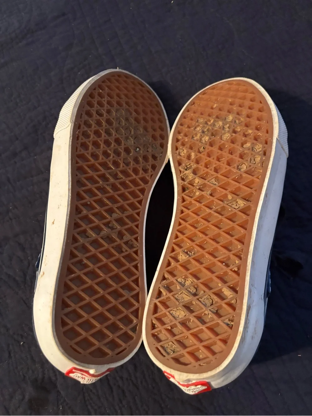 Vans Black and Gray Low-Top Skate Sneakers